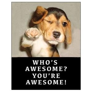 Meet your Posher, Nicole